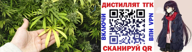 Купить закладки  Ковылкино  ТГК гашишное масло 