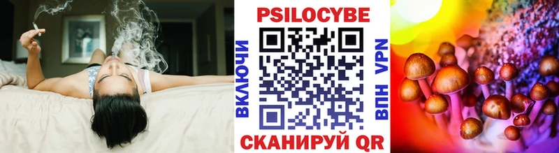 Купить  Ковылкино  Псилоцибиновые грибы Cubensis 